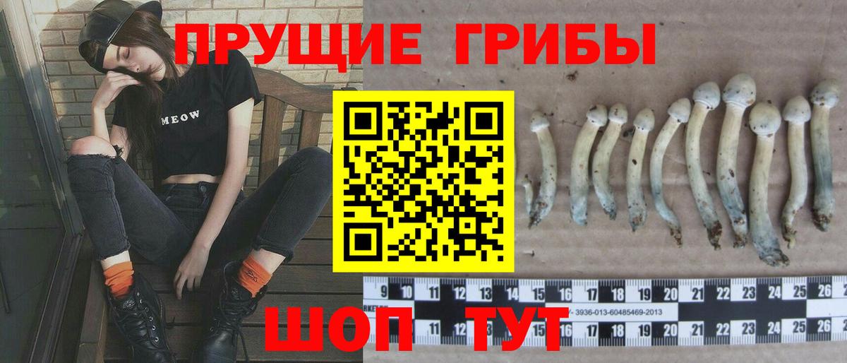 Галлюциногенные грибы MAGIC MUSHROOMS  Вход с VPN  закладки  Избербаш  Галлюциногенные грибы MAGIC MUSHROOMS 